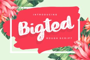 Bigted: A Cheerful Script Font
