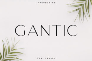 Gantic: A Font for Elegant Design