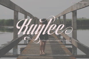 Kaylee: A Modern Script Font for Business