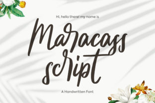 Maracass Script: A Stylish Font for Modern Campaigns