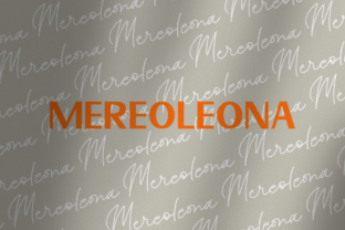 Mereoleona Duo: A Bold Sans Serif for Real Projects