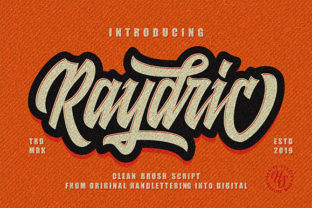 Raydric Script Shadow Outline Font