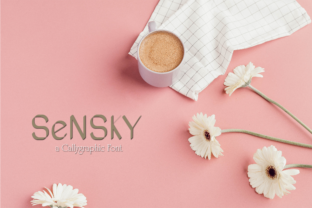 Sensky: A Modern Sans Serif for Web Design