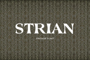 Strian: A Vintage Serif Font for Craft Creators
