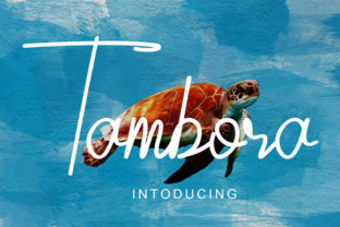 Tambora: A Script for Real Projects