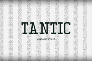 Tantic: A Timeless Serif Font